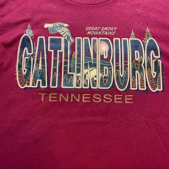 Fruit of The Loom Gatlinburg Tennessee Burgundy Short Sleeve T-Shirt Size Medium - Picture 5 of 9